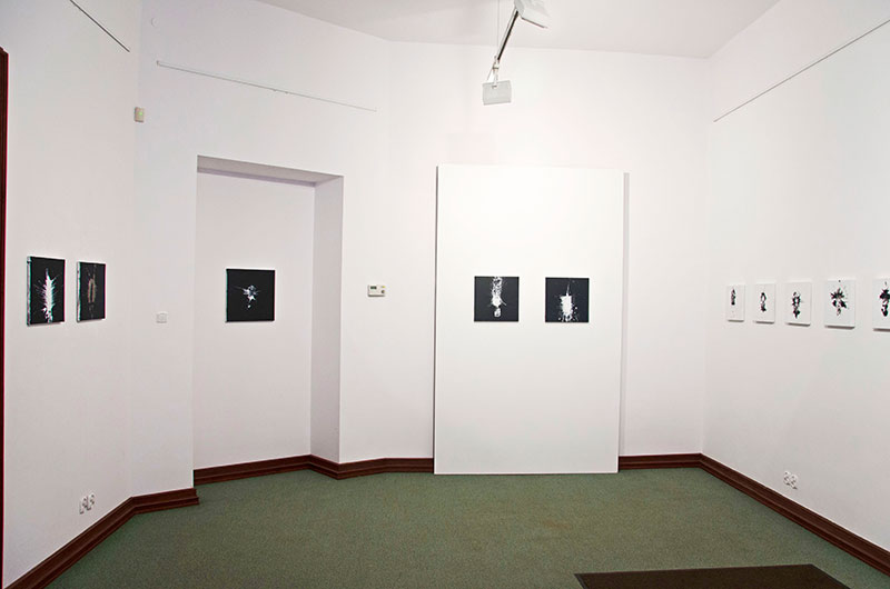 Czarny kwadrat/biały kwadrat, Galeria Olimpus, Łódź, 2018